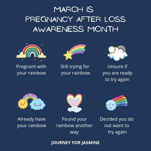 Photo by SUDC Foundation on March 11, 2025. May be an image of text that says 'MARCH IS PREGNANCY AFTER LOSS AWARENESS MONTH Pregnant with your rainbow Still trying for your rainbow Unsure if you are ready to try again ከትይስክ. UN Already have your rainbow Found your rainbow another Decided you do not want to way try again JOURNEY FOR JASMINE'.