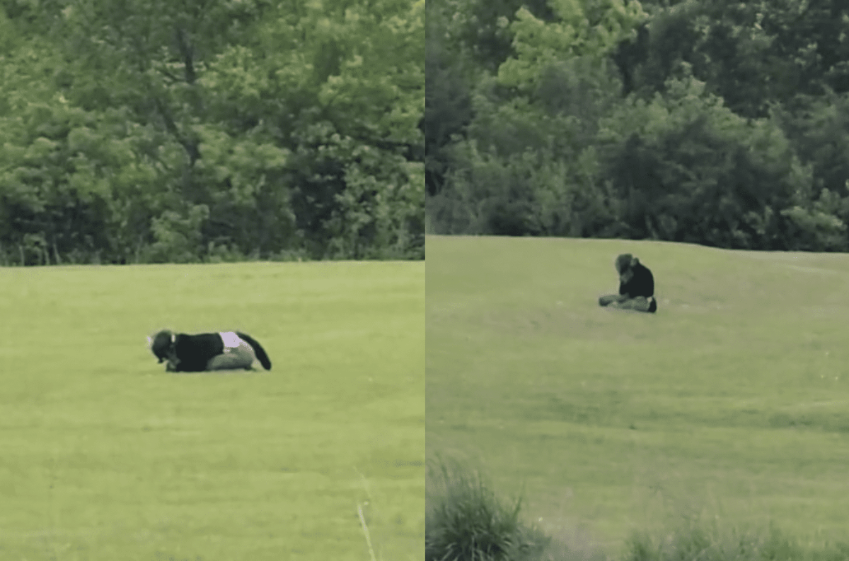 Wedding Guests Get A Surprise When A Cow In A Nearby Field Turns Out To Be A Furry Taking Pictures