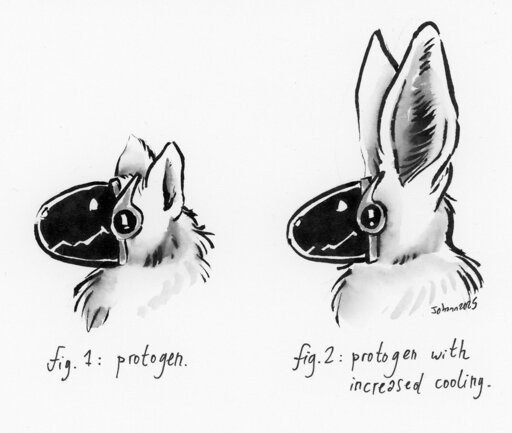 Parody science-diagram about a Protogen with extra-large fennec ears for enhanced heat-sinking