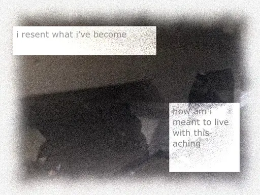 grainy image of concrete and mud with a fuzzy white border. there are two boxes with grey text. the first says "i resent what i've become", the second  reads "how am i meant to live with this aching"